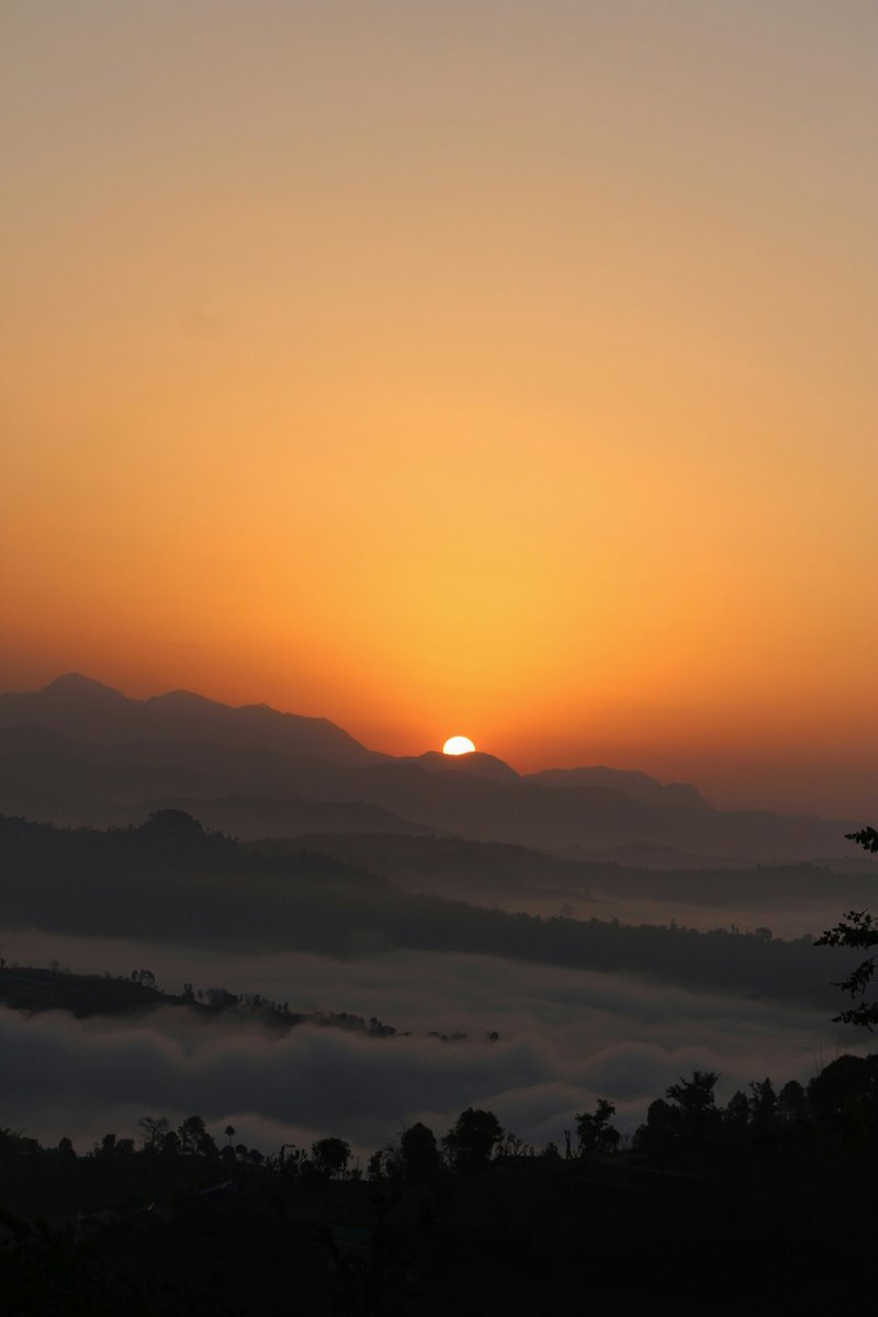 earthcurated's tweet image. Post a Picture you took. Just a pic. No description.