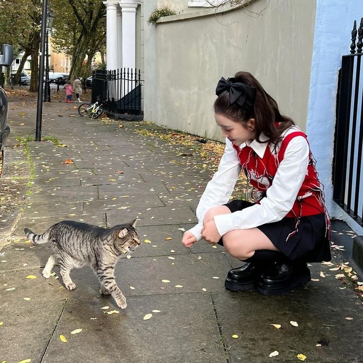 forstrayc's tweet photo. kiss a kitty 🐈 https://t.co/tR2QZVgPJq