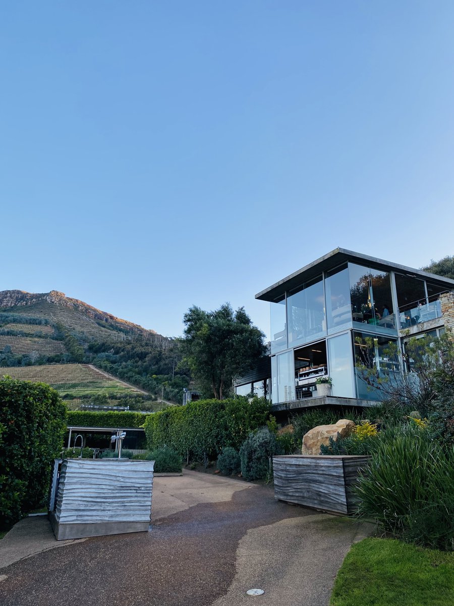 AsaMaybe's tweet image. 