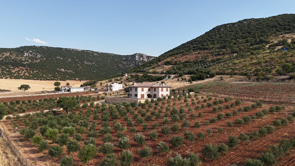 My short answer to all friends and family asking why I don't travel for a vacation.