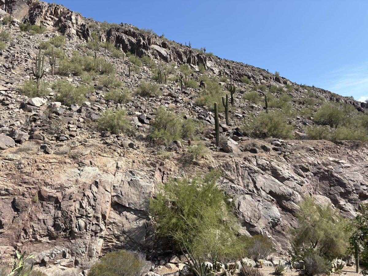 RegionalTVCat's tweet image. Today’s game is not a @FanDuelSN_MW production. I will be making a trek into the desert in a quest to find complete consciousness and explore the relationship between Thoth and regional cable journalism. All I will bring is a diet Fresca and a box of Mallomars.