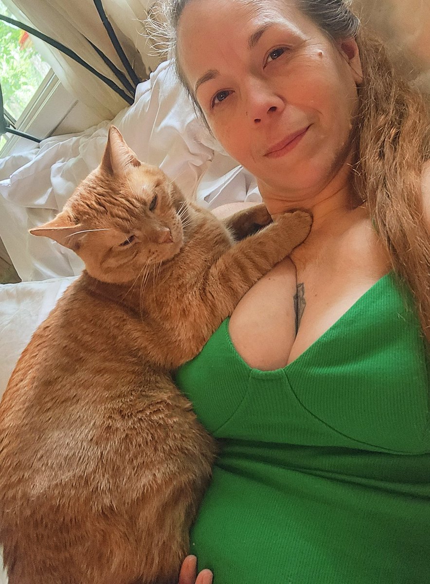 __Granuaile__'s tweet image. Loki does fab weighted therapy in conjunction with his regular purr therapy ❤️
#Caturday #RescueCat
#feraltofamily #LokiCat