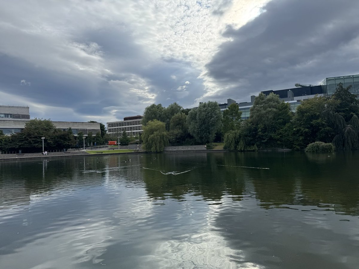 Suzanne Indja tweet media