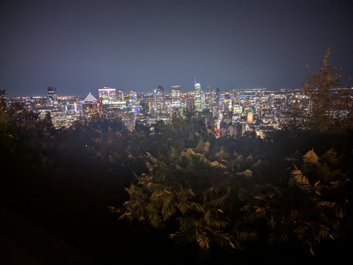 PallyStream's tweet image. Fun day yesterday. Relaxed by the pond in Mont Royal Park with food and drinks for a few hours into the night, walked up to the observatory and got a nice view of the cityscape...and also saw a family of trash pandas.
I needed that. Back to my PARTNER PUSH tomorrow 😎💪