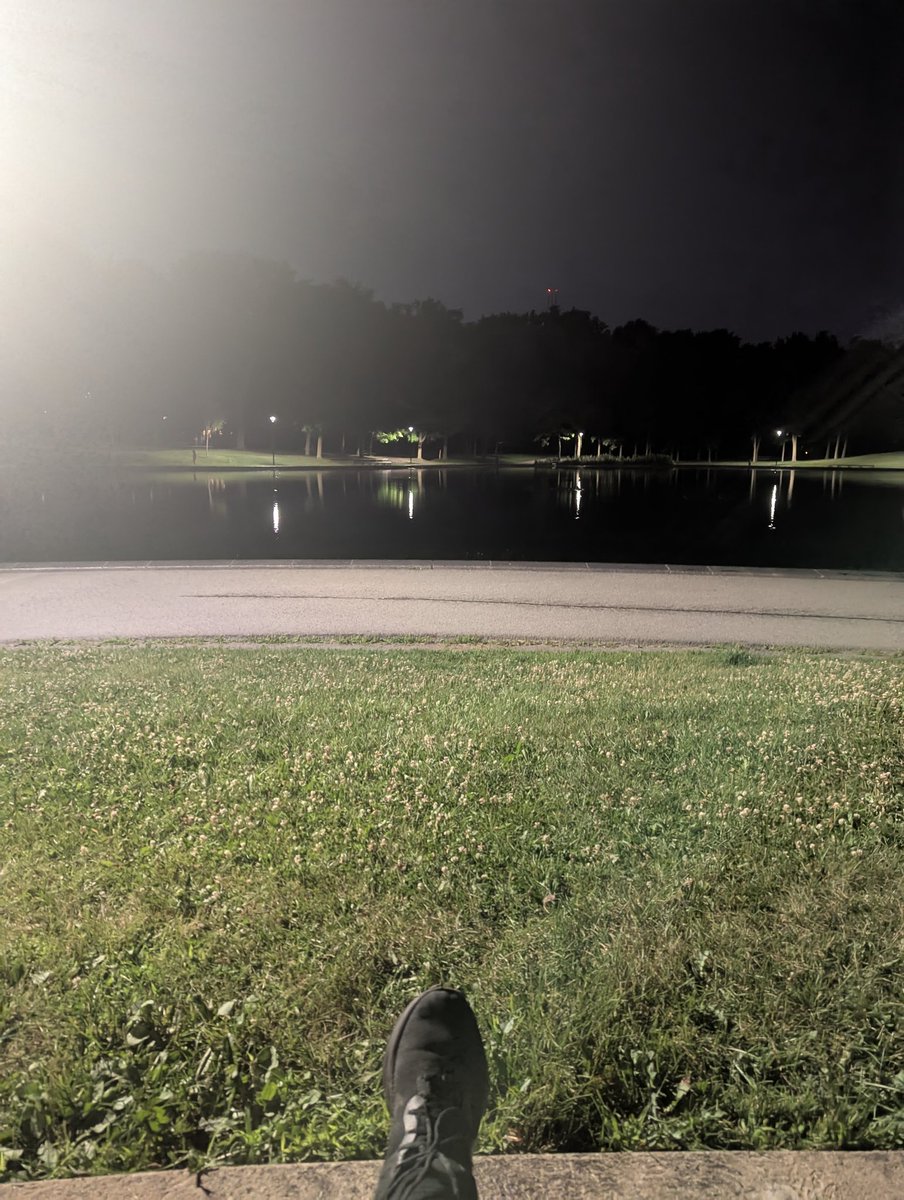 PallyStream's tweet image. Fun day yesterday. Relaxed by the pond in Mont Royal Park with food and drinks for a few hours into the night, walked up to the observatory and got a nice view of the cityscape...and also saw a family of trash pandas.
I needed that. Back to my PARTNER PUSH tomorrow 😎💪