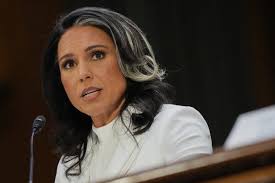 PaulRudnickNY's tweet image. Tulsi Gabbard's been trying to crawl her way back into Trumpworld by spewing false accusations about Obama, to distract from the Epstein debacle. But it's not working