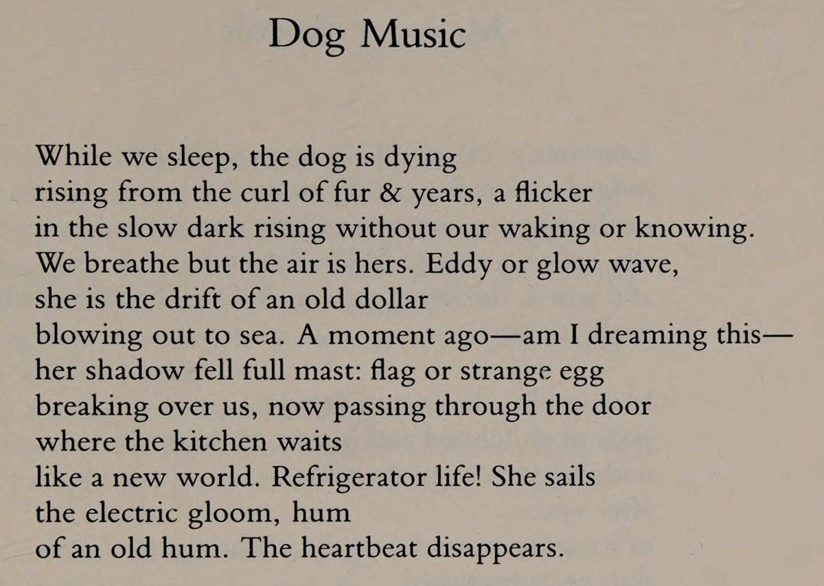 phillipcrymble's tweet image. Marianne Boruch
⸻ from View from the Gazebo (1985)