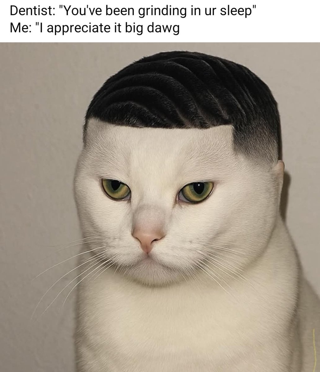 MayzeRunnuh's tweet photo. If I was a #Croginal #IRL... 🐈 

#CoolCats #Wavy @Croginal 

#MayzeLyfe🚪✨️ https://t.co/QUxqLMvB3Z