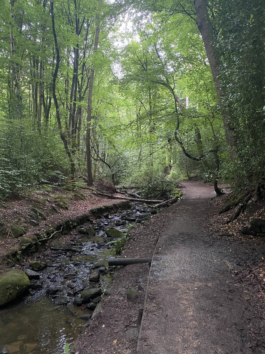 ThePiVortex's tweet image. As much as I do shit on the UK I am grateful to have this sort of nature 20 minutes walk from my home