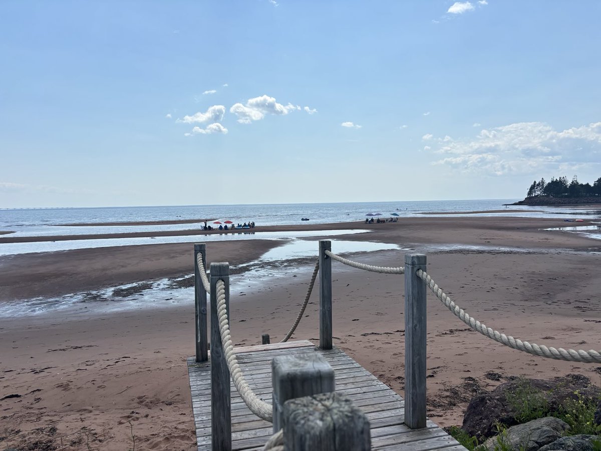 Doug Maclean tweet media