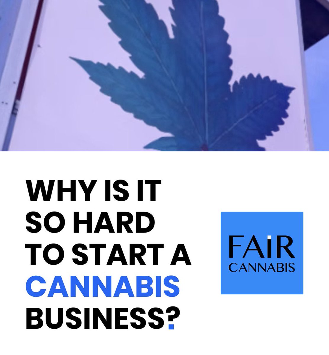 FAIR Cannabis tweet media