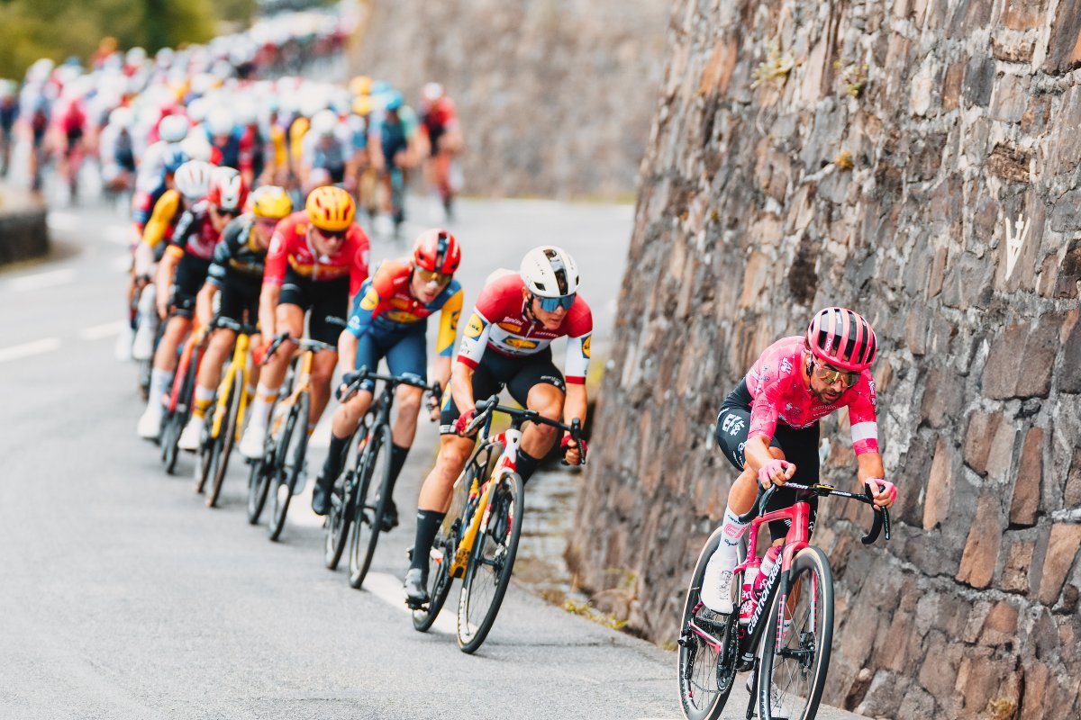 📸 Disfruta de algunas de las imágenes de esta 14ª jornada del #TDF2025

Créditos fotos 👉 Gruber Images