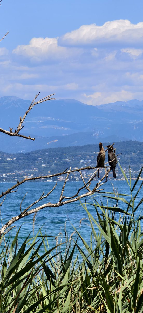 just touch the grass

wish everyone to have a good vacation and time with family for a while, your mental state is important, your family too, nobody is here forever ✌️

web3 is making me check X and discord often and I love to read news and checking after interesting people

but