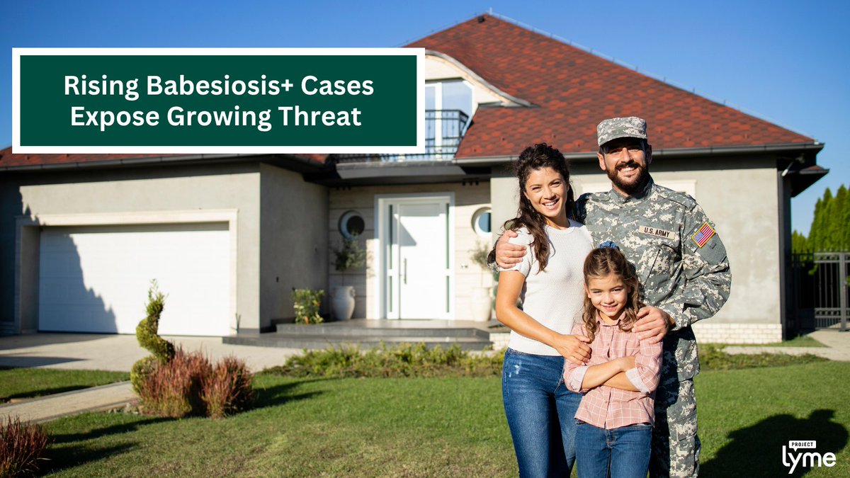 ProjectLyme's tweet image. Babesiosis—a tick-borne, malaria-like illness that attacks red blood cells—is emerging as a growing health threat in MD alongside Lyme disease. A single tick can carry & transmit multiple infections at once, making diagnosis more complicated via @USArmy army.mil/article/286958…