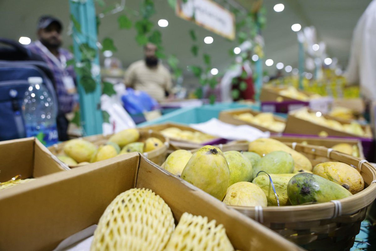 The Pakistani Mango Festival at Souq Waqif concluded on Saturday.