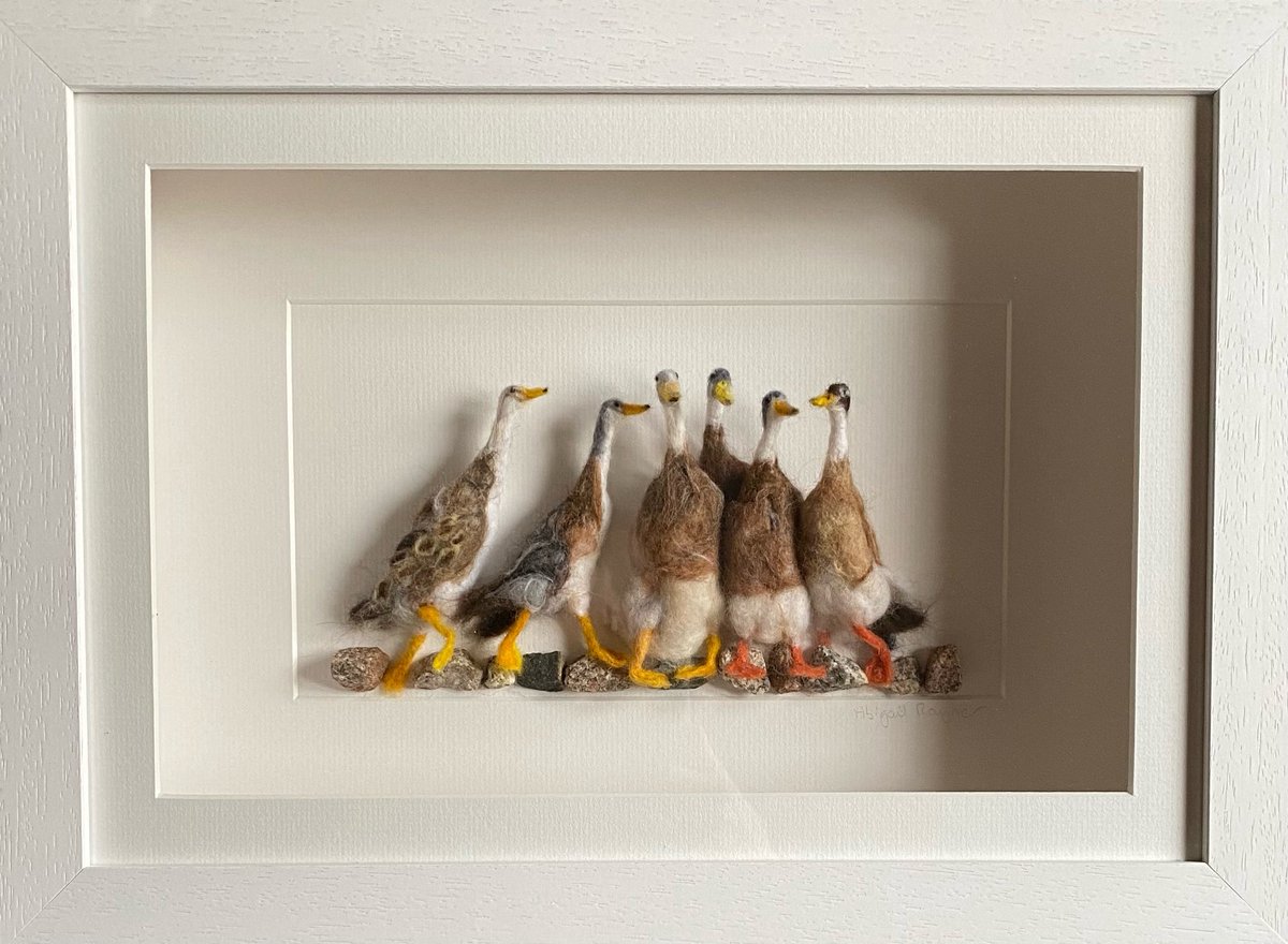 Nice weather for ducks! 🦆 🌧️  

#ducks