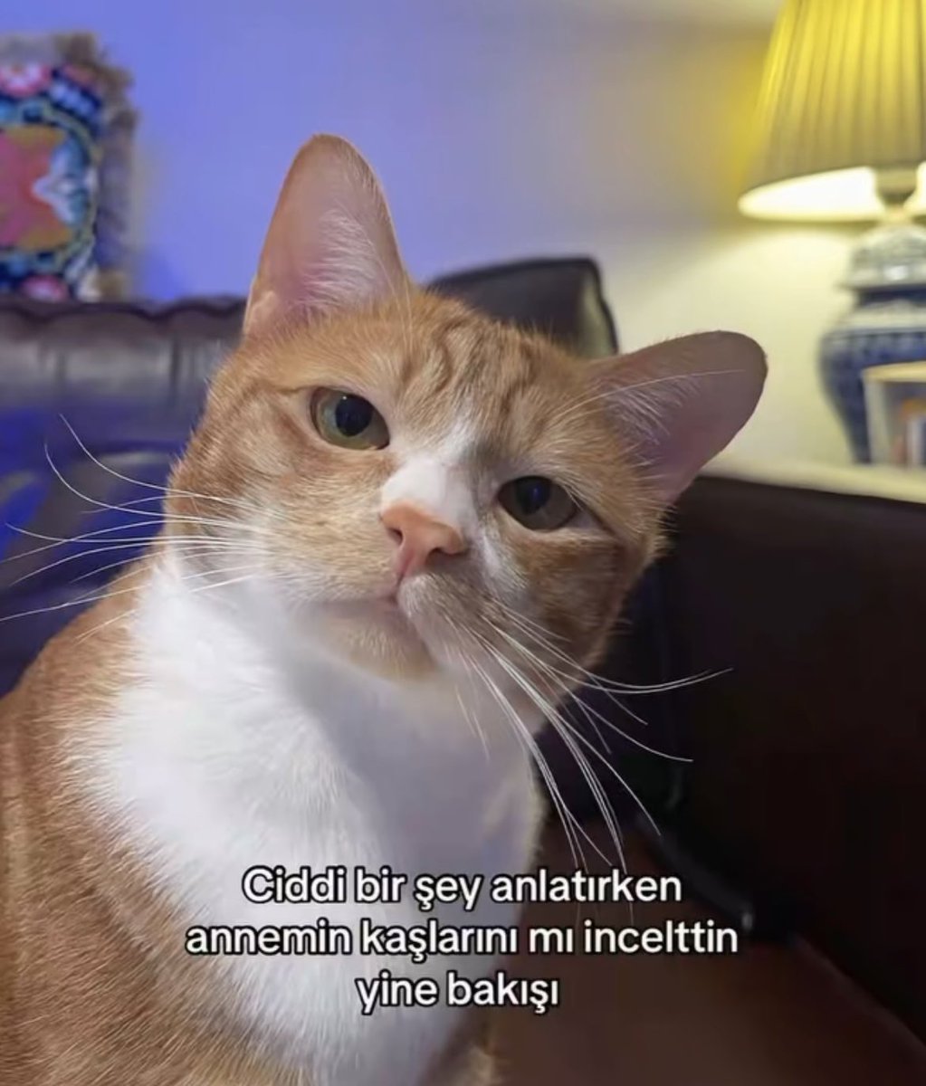 Alinda (@alinnddaa) on Twitter photo 