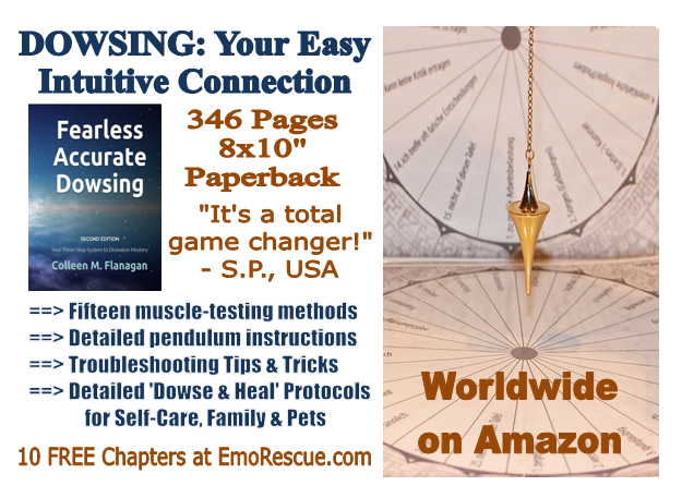 HolisticTips4U's tweet photo. Dowse like a PRO via this manual🤩#muscletesting #pendulum #dowsing scripts, troubleshooting guide, mind-body-emotions decoding chart, worksheets, healing guides for you, family &amp; pets.
📚 Paper https://t.co/zb3KsjHUPt
📱 eBook https://t.co/YgcADtULrC #selfcare #dowser #pendulum https://t.co/ohAYTK7PKu