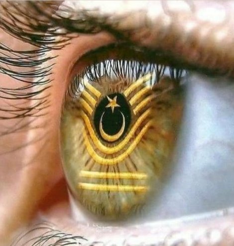 Görev bitse de mücadele bitmez! Emekli astsubay sahaya iniyor!
#temadmeydanlarainiyor