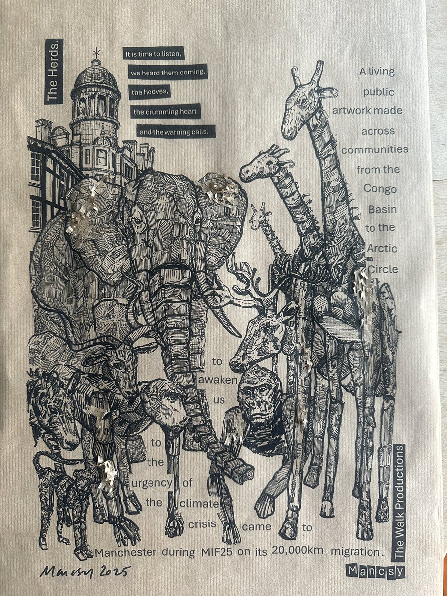 RealMancsy's tweet image. The Herds came to Manchester during MIF25 to raise awareness of the climate crisis. This project has involved hundreds of people between the Congo Basin and the Arctic Circle. I’m giving away 15 prints with collage features in Manchester when the rain stops…