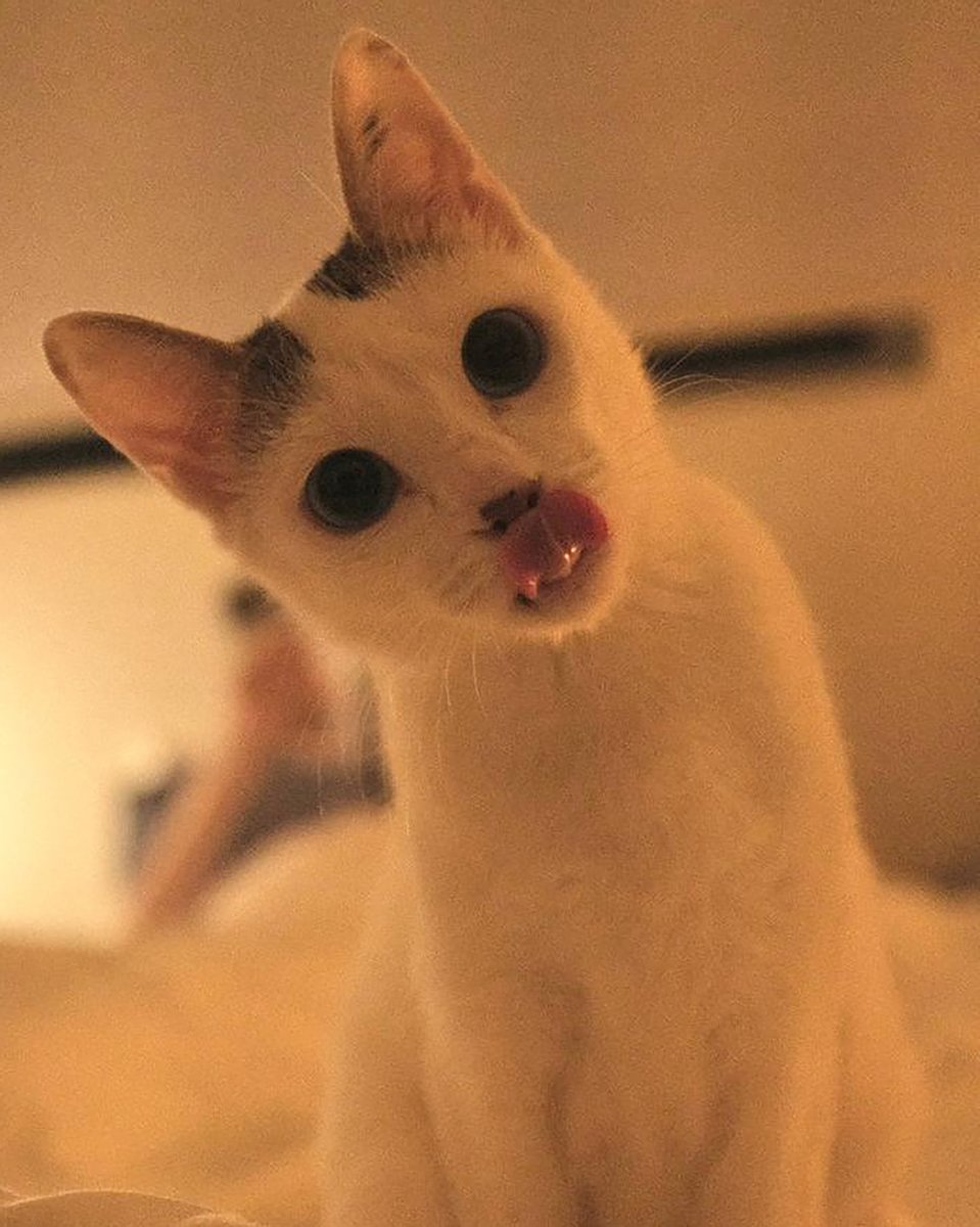 Trade Lunatique 

zora.co/coin/base:0x4e…