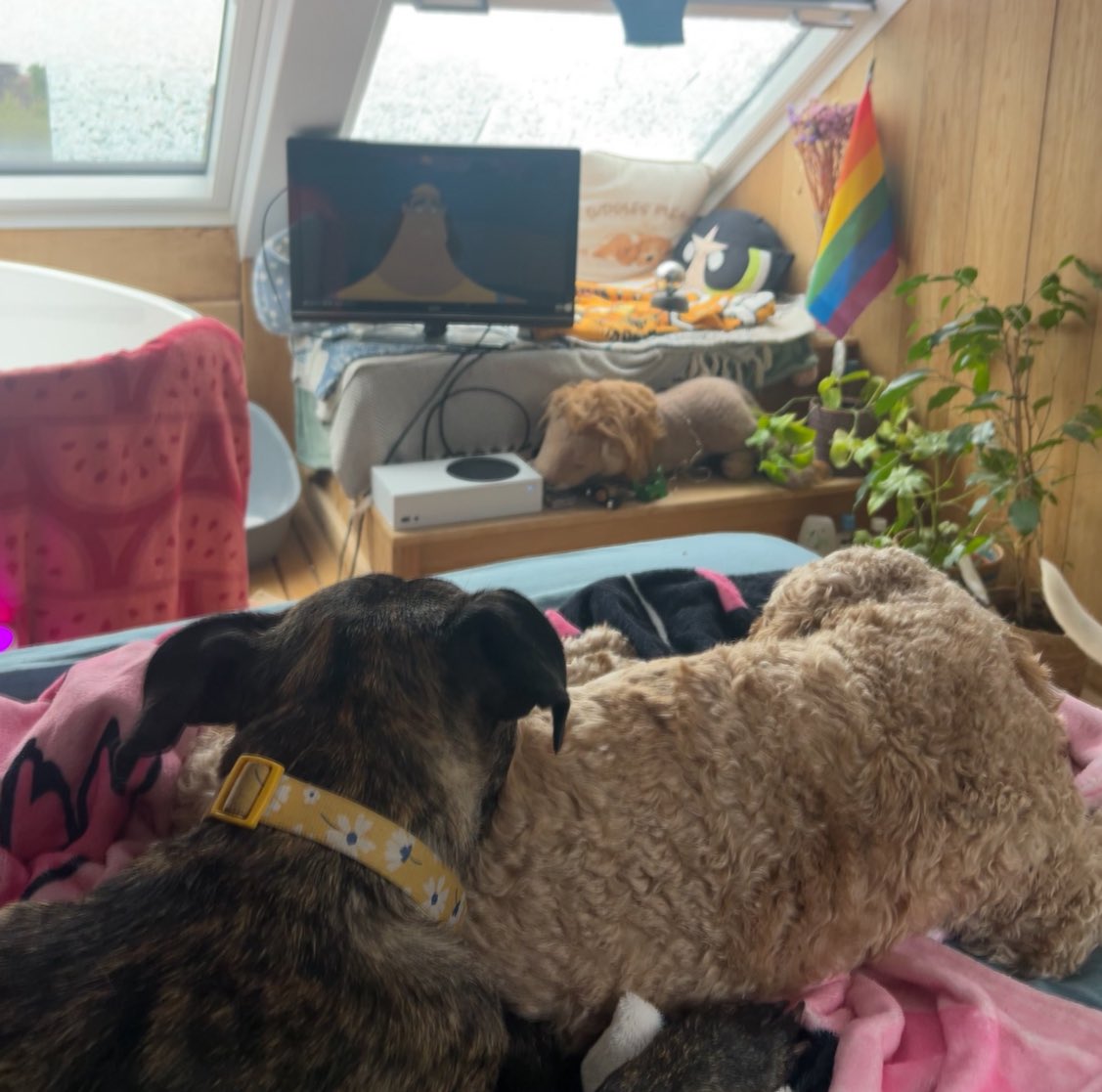 🪩abs🖤 (@grimleyweeper) on Twitter photo 