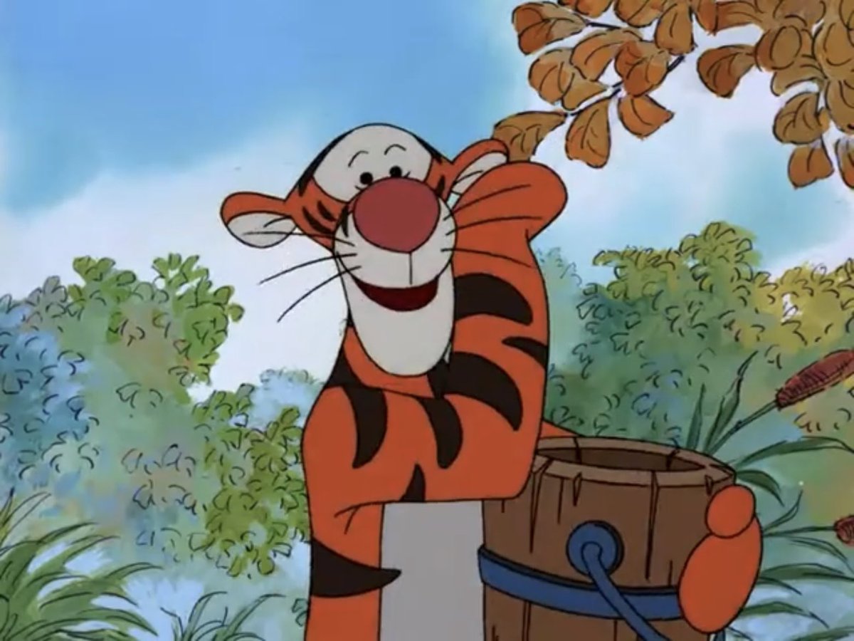 dailytigger's tweet image. day 4 🐾