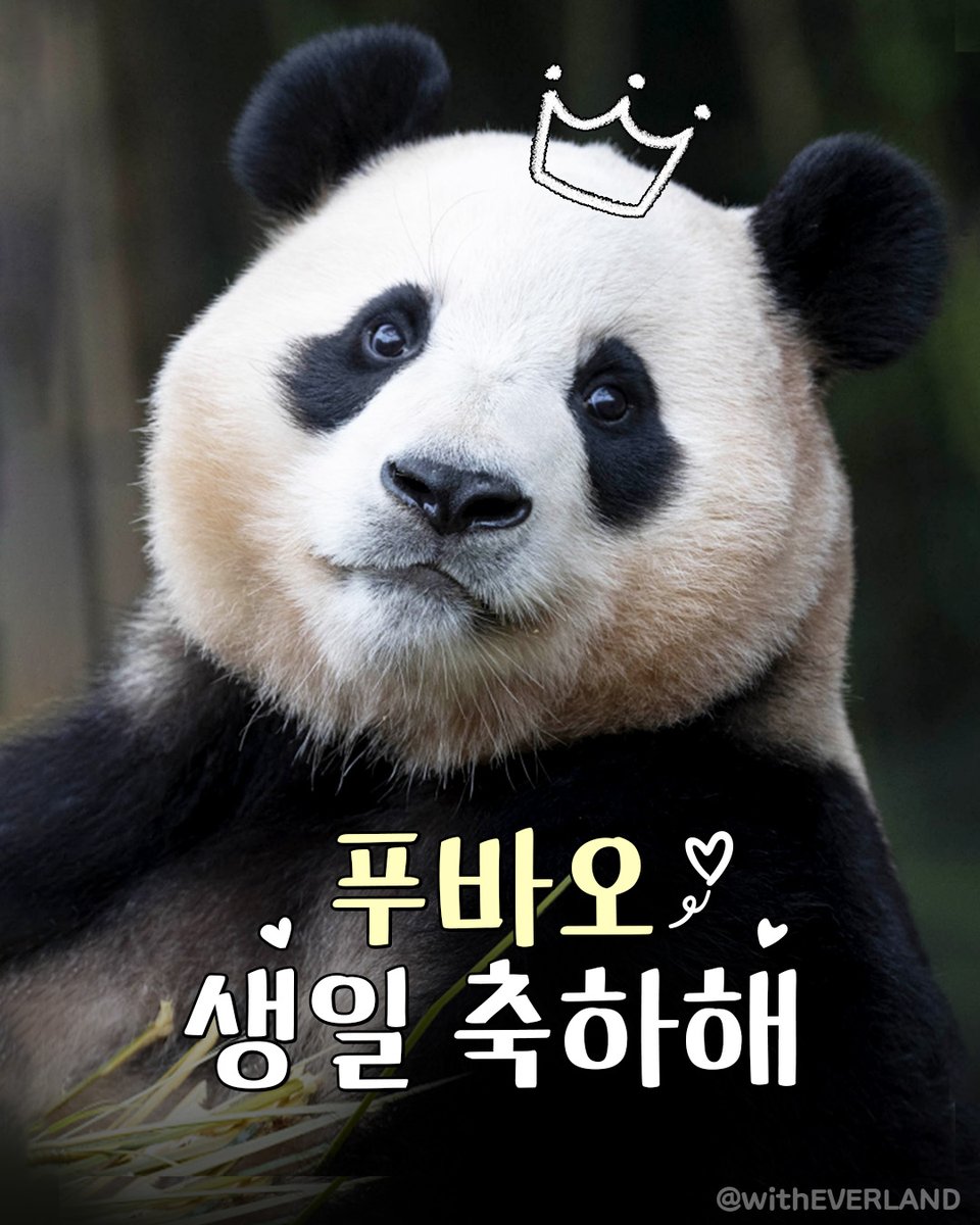 𝙥𝙖𝙣𝙙𝙖-𝙗𝙖𝙤 🐼 tweet media