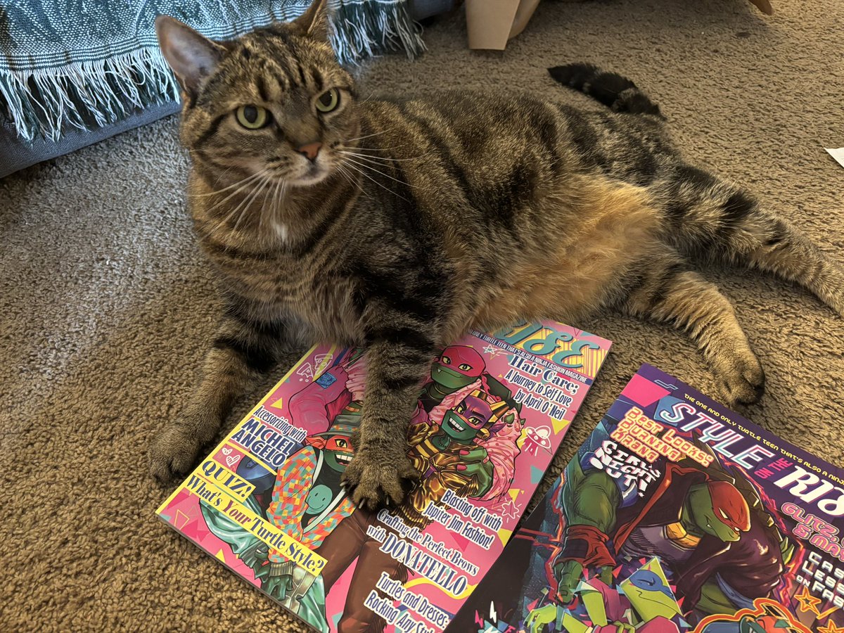 Zinzabee's tweet image. My copies of Style of the Rise finally came in! And they are kitty cat approved 💚 Beautiful work! Congrats to all the artists who worked on this, they’re both absolutely amazing!!! #rottmnt