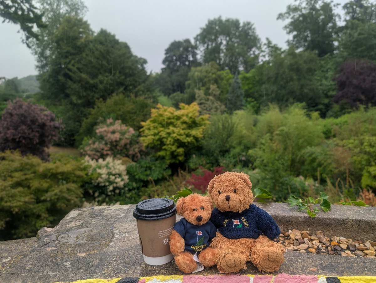 Bentley and Timmy went to Burghley House and got rather wet 😂😂