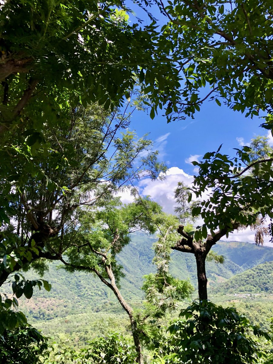 Sol radiante, fuera del bosque ☀️🌳🙋‍♀️