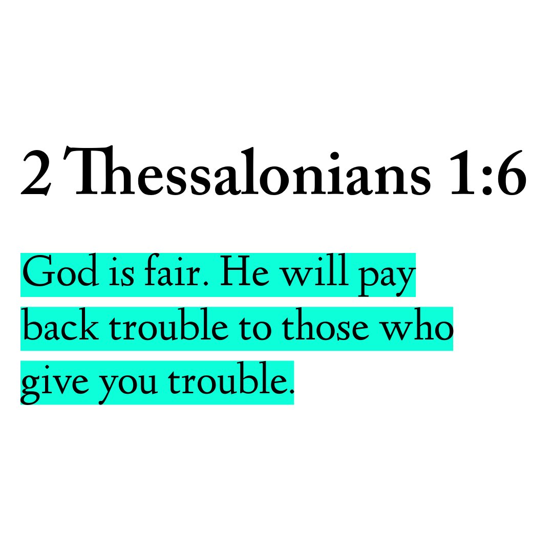 Holy Bible tweet media