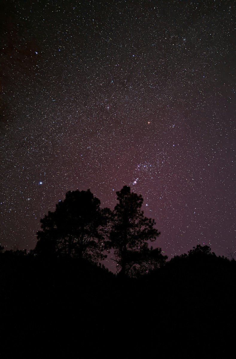 — stargazing ✨