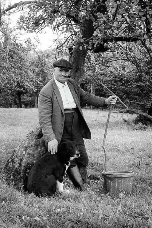 Alton Benes tweet media