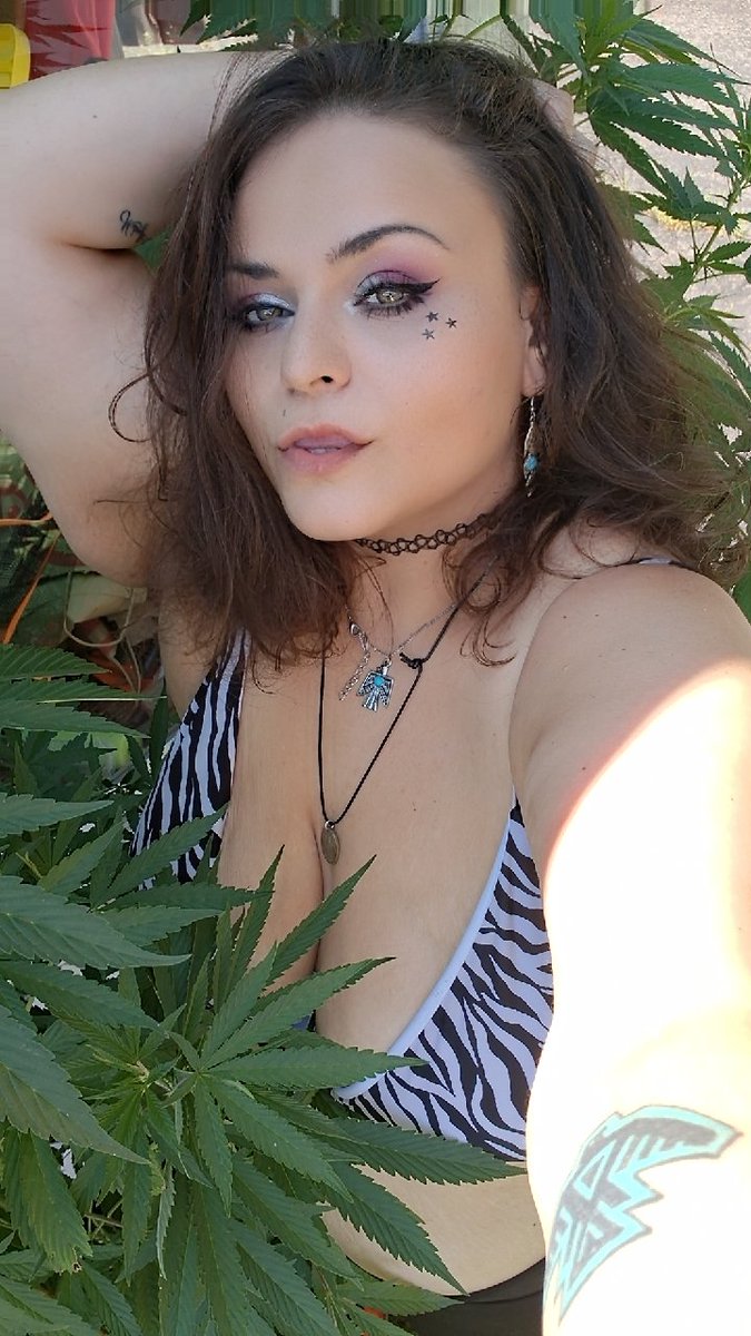 Chillin in <a href="/TopTierTerps2/">SgtSadistic</a> grow! These beauties are bigger than me! #cannabisculture #Cannabis #growyourown