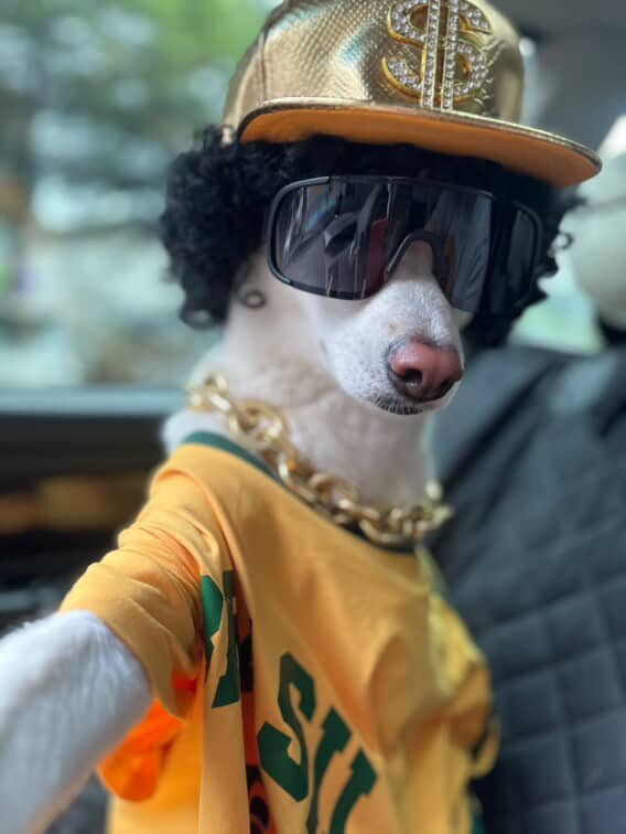 <a href="/bonk_inu/">BONK!!!</a> $Dawg 4ANgTKmsA1MWuA6XrtQZrqJ4svkyZZLM5NCy2ifLbonkm alpha here