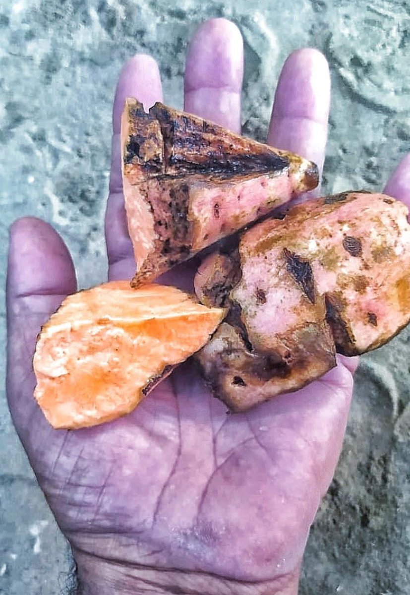 Our hearts break for Tasneem. Today Tasneem is eating a piece of melted, rotten potato, good for nothing, and tears are streaming down her little face. Because of the difficulty in finding food, I had no choice but to feed them to Tasneem. I am writing this with tears streaming