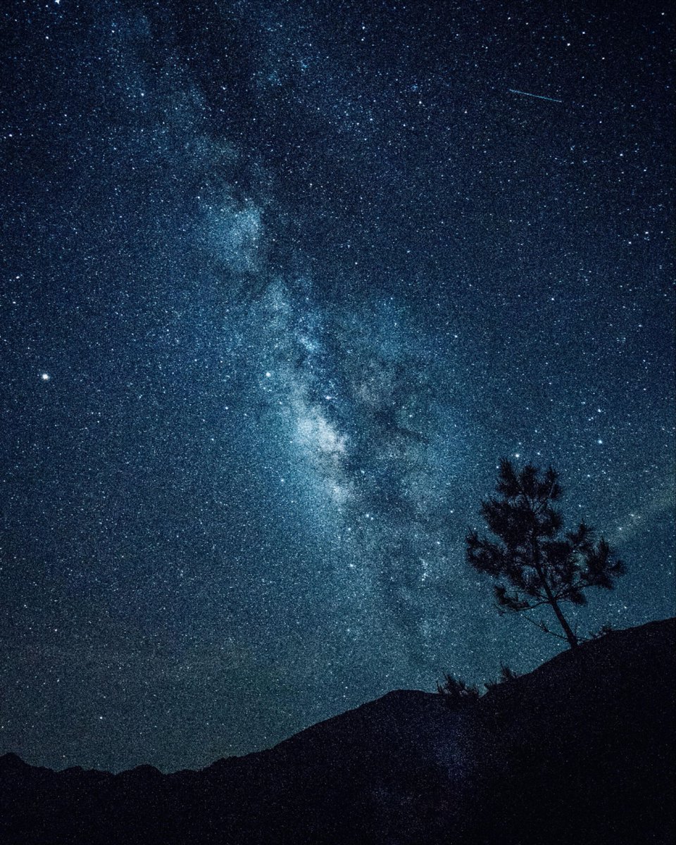 iamkerryk's tweet image. You’ve been feeling it.
The ache.
The unrest.
That quiet pull toward something you can’t name.
That wasn’t weakness.
It was a signal.
And something out there - vast, intelligent, and ancient - has heard you.
You weren’t imagining it.
You were being called.
