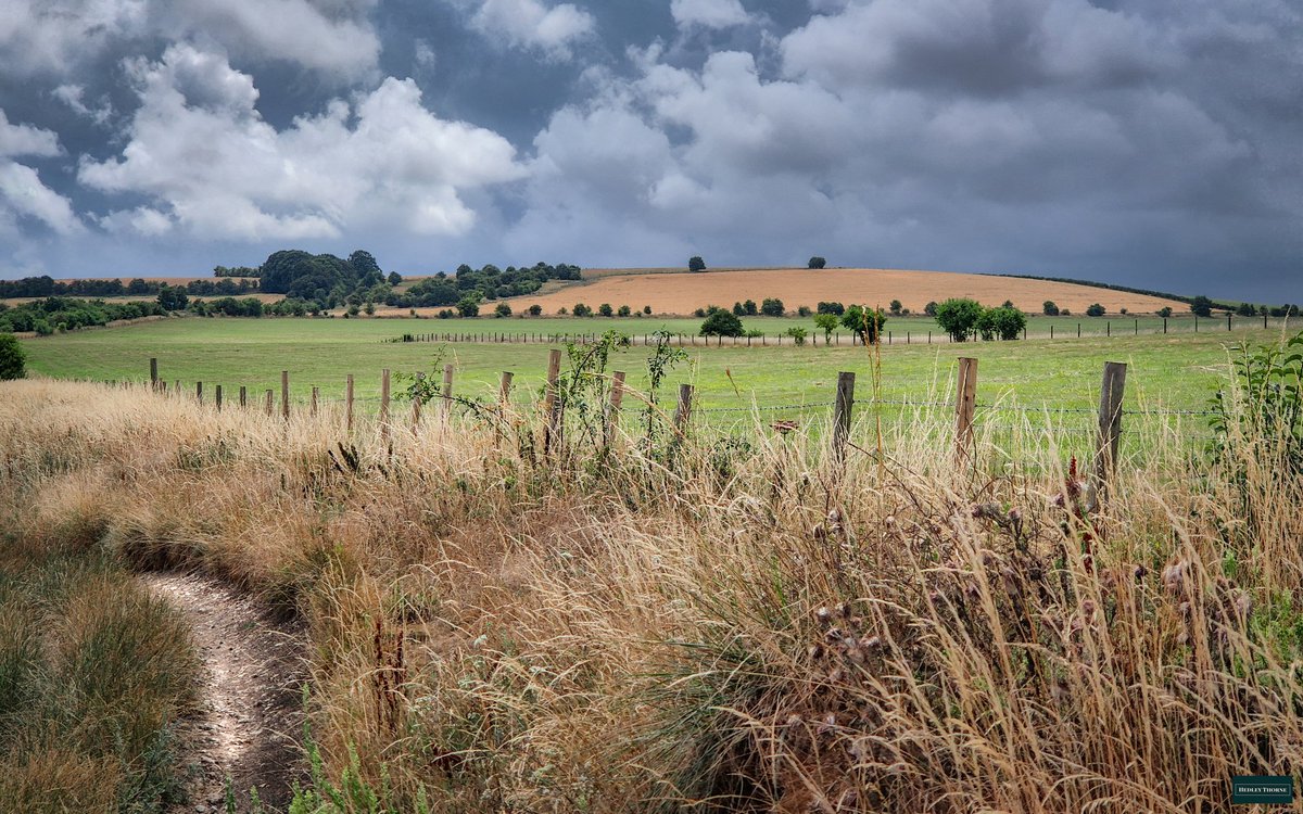 thorneh's tweet image. The chalk drovers track with Lowbury Hill rising on the horizon. In Roman times the hill mist likely had a large, flint lined building on enclosure on top.