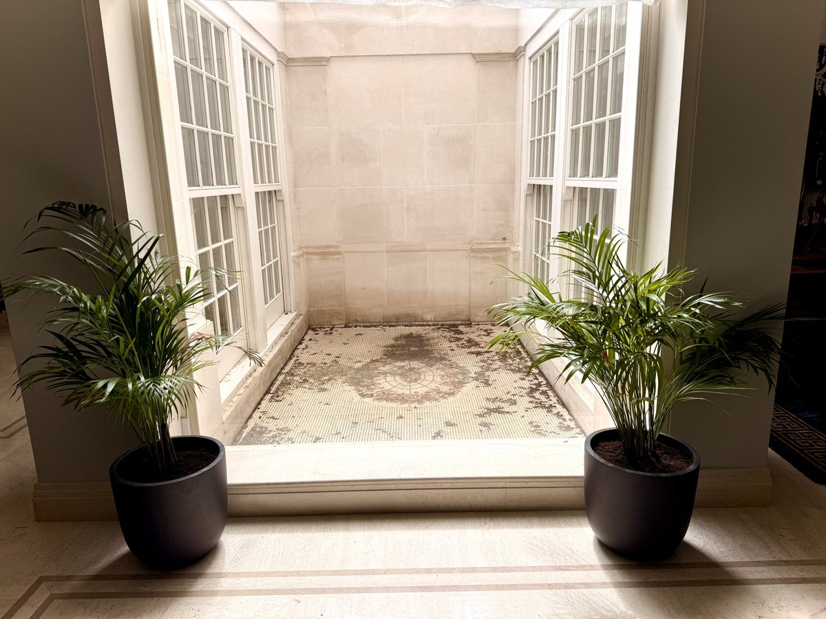 rickygervais's tweet image. Went to the garden centre & repotted my office plants. This was my only achievement today. Not sure I deserve a drink. I’ll have one if this post gets more than 3 likes. Democracy.