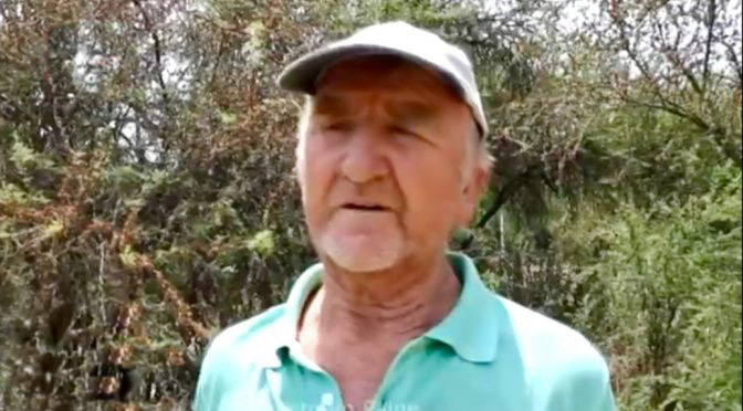 Fallece Alejandro Bustos, único sobreviviente de la matanza de Paine
Conocido como “El Colorín”, falleció, dejando atrás una vida atravesada por el horror y  la lucha por la memoria.
estapasando.cl/nacional/falle…