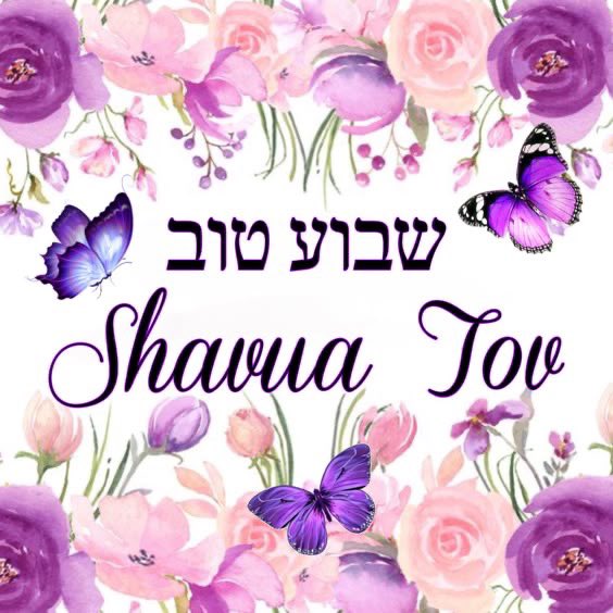 miriampollick's tweet image. A good week
A week of peace
May gladness reign
And joy increase💜