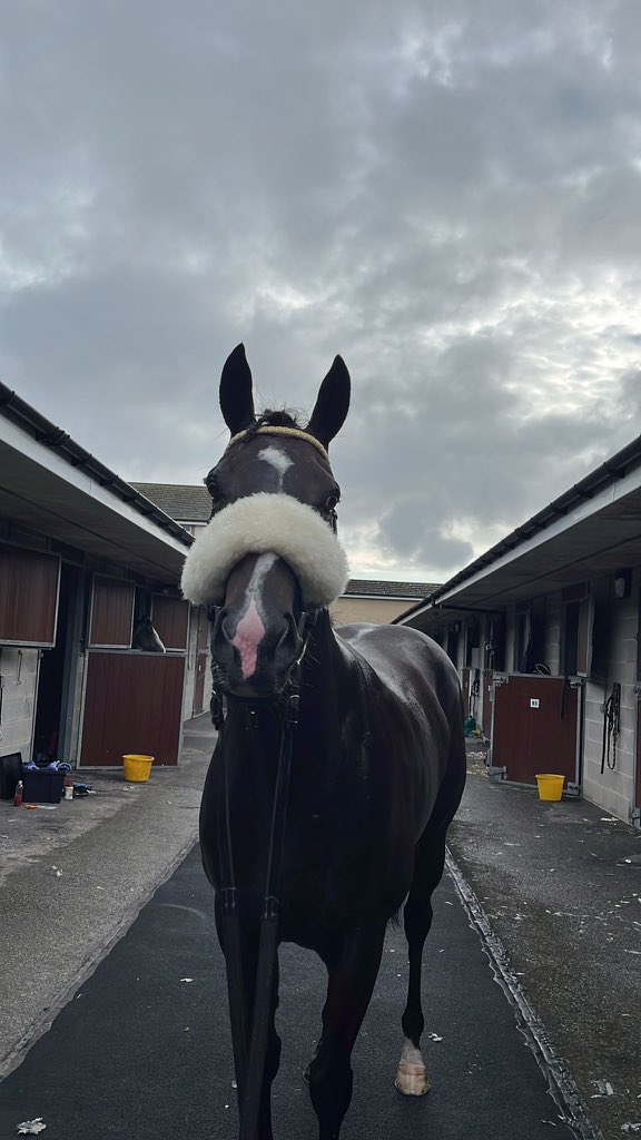 Julie Camacho Racing (@jcamachoracing) on Twitter photo WINNER! 🥇 Lumenbourg won in great style at <a href="/DoncasterRaces/">Doncaster Racecourse</a> under a well judged ride from <a href="/RyanSexton9/">Ryan Sexton</a>. Congratulations to his owners in <a href="/URSAMAJORRACING/">Ursa Major Racing Ltd</a> who reached a milestone 100 winners earlier - 101 now and counting! WINNER! 🥇 Lumenbourg won in great style at <a href="/DoncasterRaces/">Doncaster Racecourse</a> under a well judged ride from <a href="/RyanSexton9/">Ryan Sexton</a>. Congratulations to his owners in <a href="/URSAMAJORRACING/">Ursa Major Racing Ltd</a> who reached a milestone 100 winners earlier - 101 now and counting!