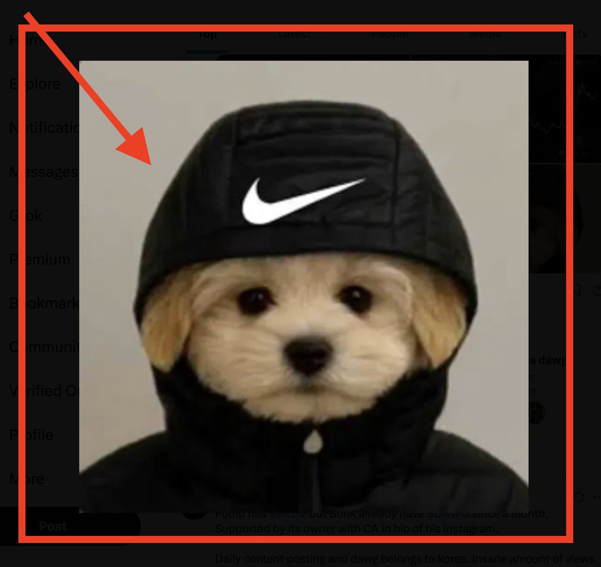 performance1778's tweet photo. If you missed out on 10x on $bruv 

Don't miss out on a 10x from $dawg

CA: A8UarFrVZX27vk7ibDRr4Uceg8yXoHaWeNxytAkmbonk

#Clocking #valentine $valentine #elon #ani $ani #KIPPAH $KIPPAH #useless $useless #泵 $nari #nari #DJI6930 $DJI6930 #useless #pump $pump #SPX $SPX #alt $alt #bitcoin #solana #useful $useful #旺柴 #ElonMusk #chillguy #4k #cryptocurrency #bitcoin #CODEPUTER #bruv $bruv #cuh $cuh #sis $sis #cuh
