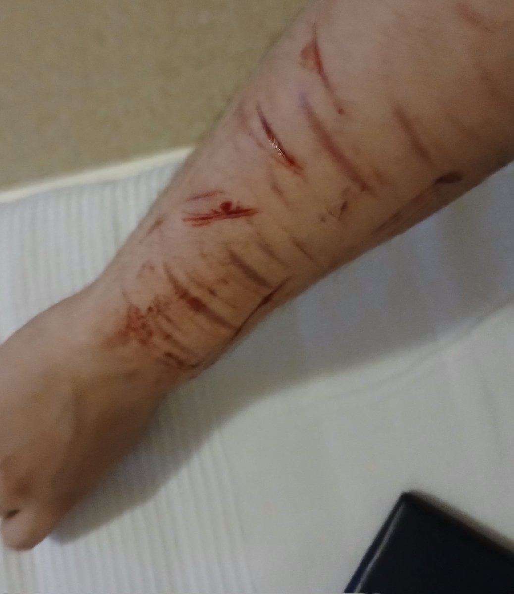 deathlyblessd's tweet photo. Meow #sh #shtwt #gore #goretwt https://t.co/DqfXgG7Z3i