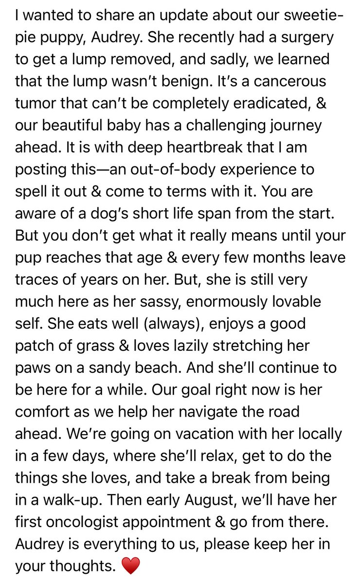 Tomris Laffly (@tomilaffly) on Twitter photo About Audrey. ♥️
Forgive me for disabling replies. And I would appreciate it if you don’t quote-tweet this. (I had a rough week, and my heart isn’t strong enough right now to receive & read replies.) I know you’re there, I appreciate it. ♥️ About Audrey. ♥️
Forgive me for disabling replies. And I would appreciate it if you don’t quote-tweet this. (I had a rough week, and my heart isn’t strong enough right now to receive & read replies.) I know you’re there, I appreciate it. ♥️