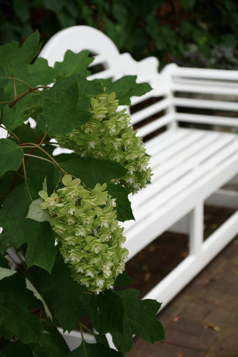 takecyanful's tweet image. 7/20 日曜日 🌞 23℃
☘️ おはようございます☘️
ーーーーーーーーーーーー
Good morning everyone
ーーーーーーーーーーーー
☘️🌸☘️