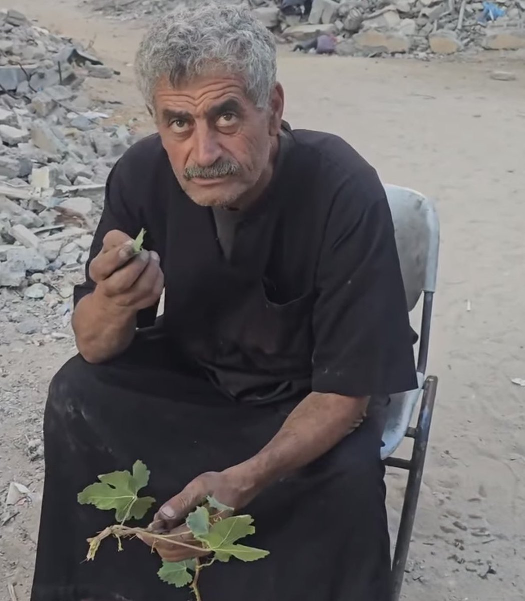 Gazze’de ağaç yaprağı yiyen bir amcamız…