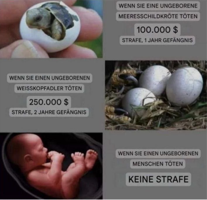 A_PoppOffiziell's tweet image. Was sagen die Verfassungsrichter-Anwärterinnen eigentlich dazu?