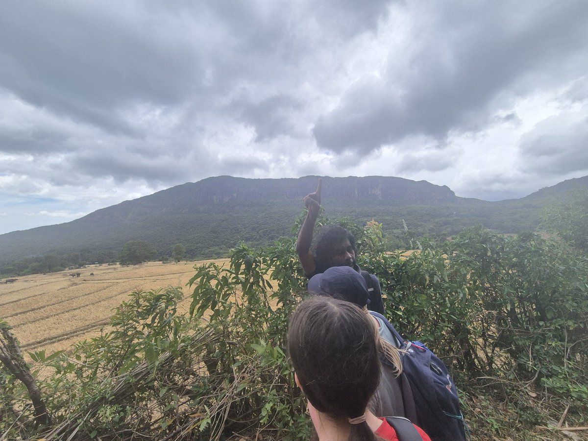 BlaiseOutdoor's tweet image. Today we climbed Mt Manigala in the Knuckles mountain range before heading to Kandy for the night. Tomorrow we visit the sacred Temple of the Tooth relic, enjoy cultural performances and visit the botanical gardens in Peradeniya.